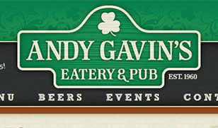 Andy Gavin’s Web Design