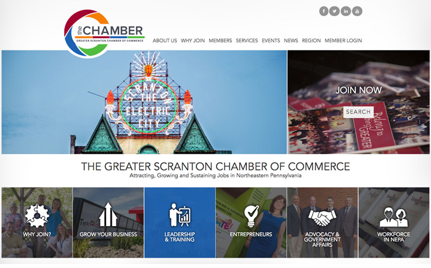 web_chamber1